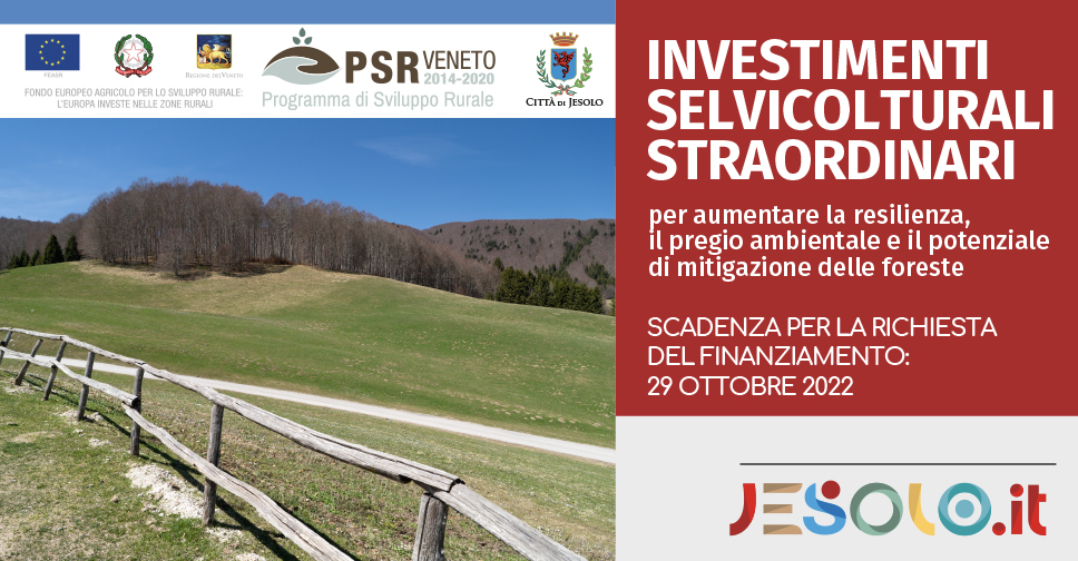 Bando Investimenti Selvicolturali Regione Veneto