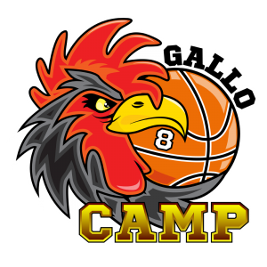 basketball camp con Danilo Gallinari