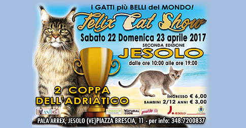 Felix Cat Show A Jesolo i gatti più belli del mondo, sabato 22 e domenica 23 aprile 2017 al pala Arrex