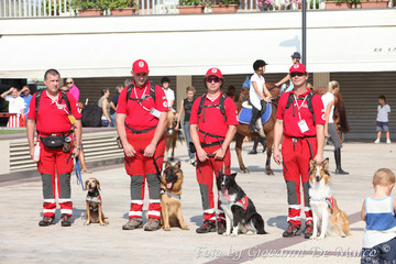 Personale della croce rossa con cani