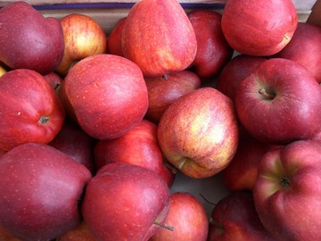 I prodotti: mele