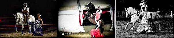 jesolo horses dream spettacolo di teatro equestre all'agriturismo la rinascente