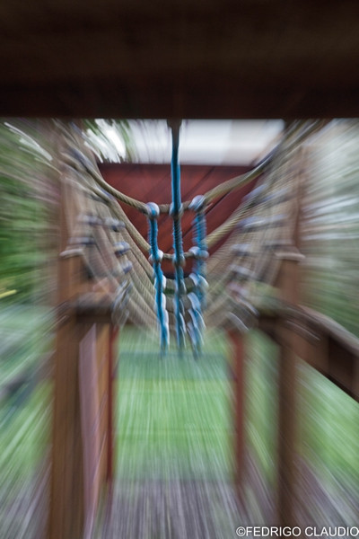 Fedrigo foto 14 Fedrigo foto 14