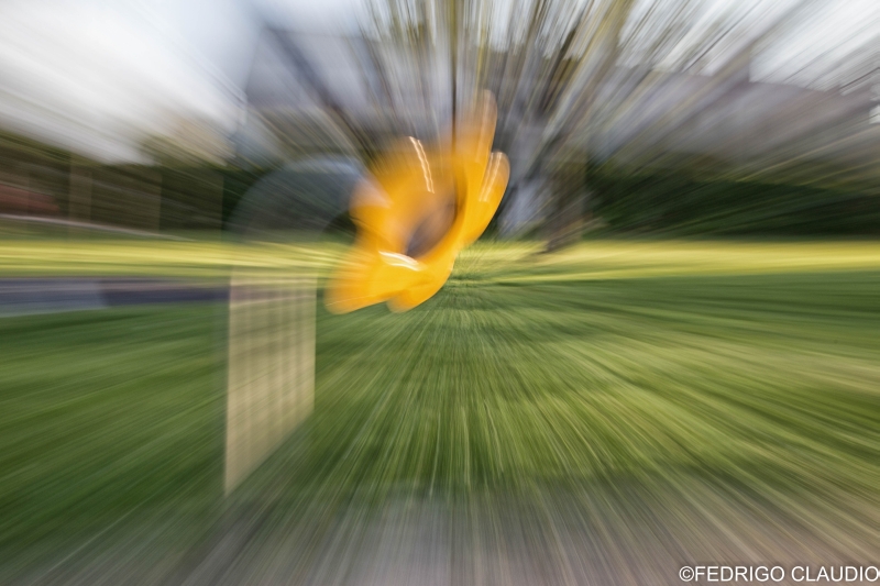 Fedrigo foto 18 Fedrigo foto 18