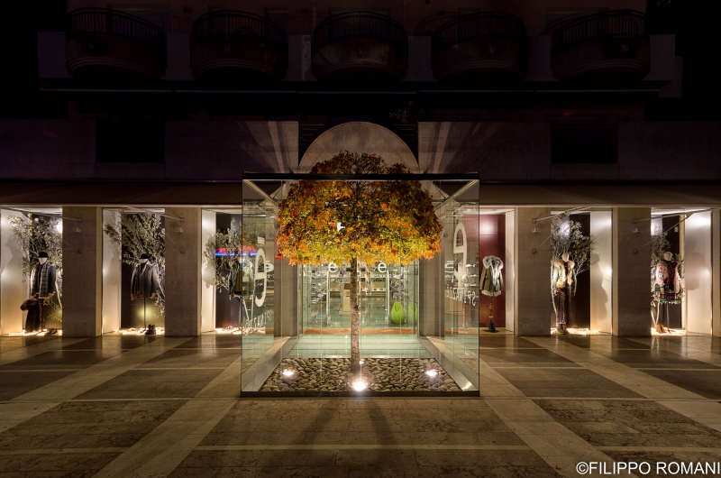 Filippo Romani foto 8 Filippo Romani foto 8