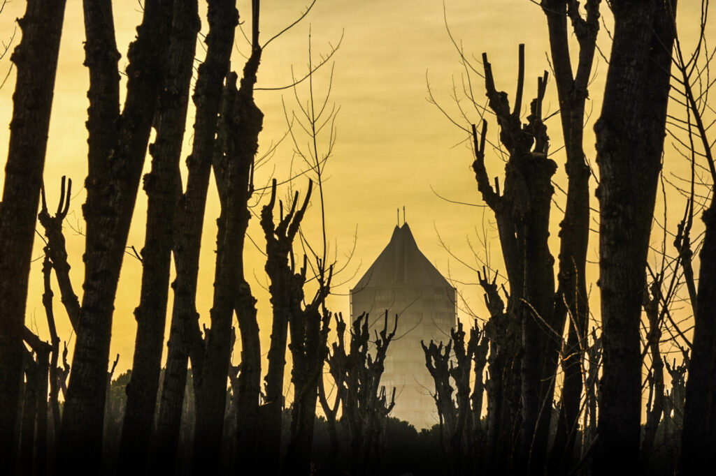 Jesolo per immagini: l'occhio di Paolo Spigariol - Foto 10 Jesolo per immagini: l'occhio di Paolo Spigariol - Foto 10