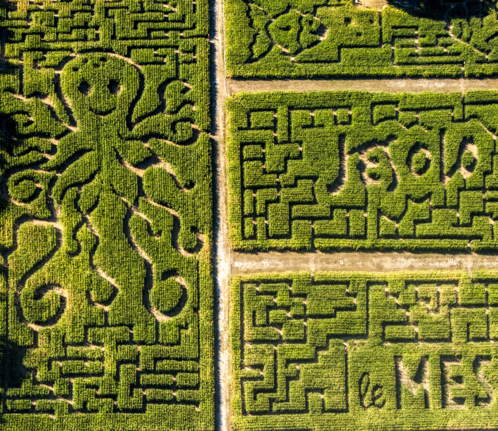 Jesolo per immagini: l'occhio di Paolo Spigariol - Foto 9 Jesolo per immagini: l'occhio di Paolo Spigariol - Foto 9