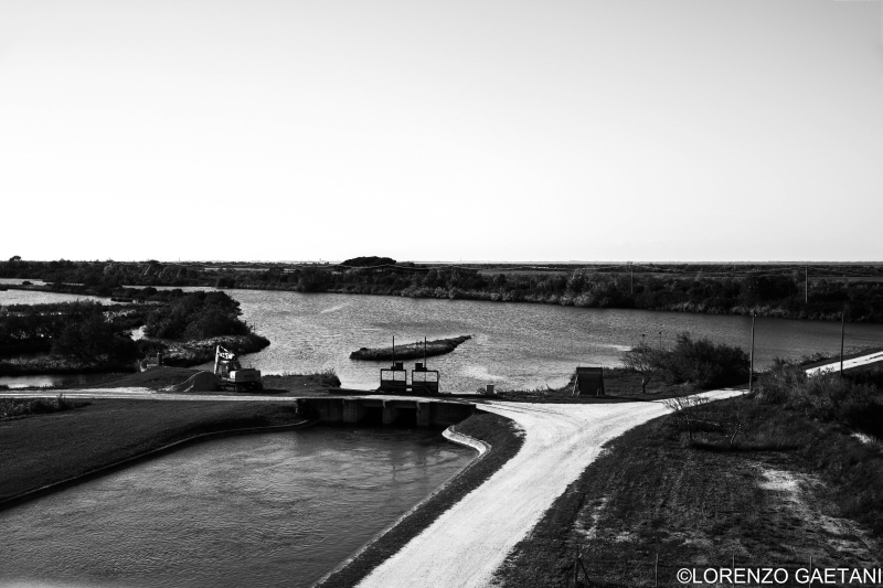 Lorenzao Gaetani foto 10 Lorenzao Gaetani foto 10