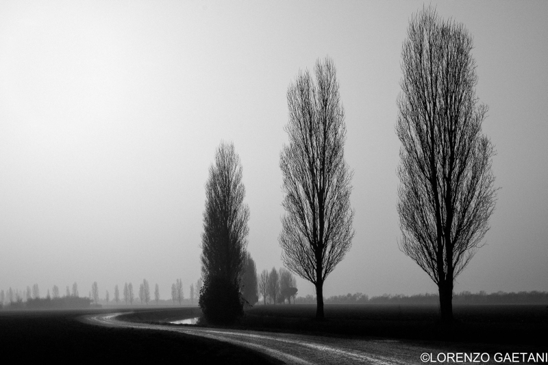 Lorenzo Gaetani foto 2 Lorenzo Gaetani foto 2