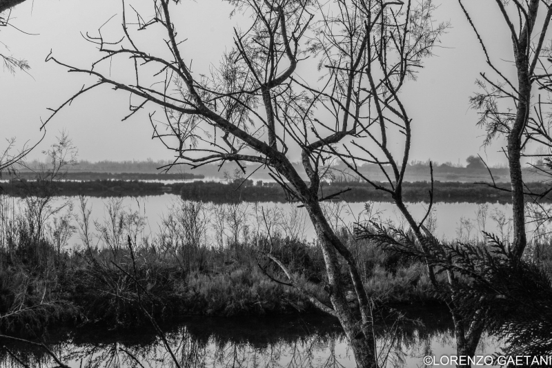 Lorenzo Gaetani foto 3 Lorenzo Gaetani foto 3