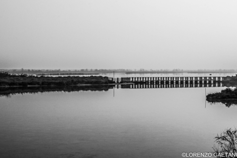 Lorenzo Gaetani foto 4 Lorenzo Gaetani foto 4