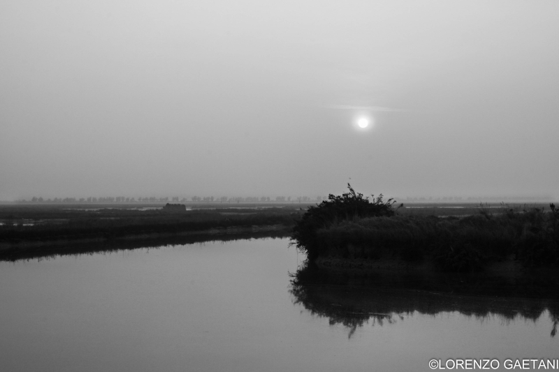 Lorenzo Gaetani foto 7 Lorenzo Gaetani foto 7