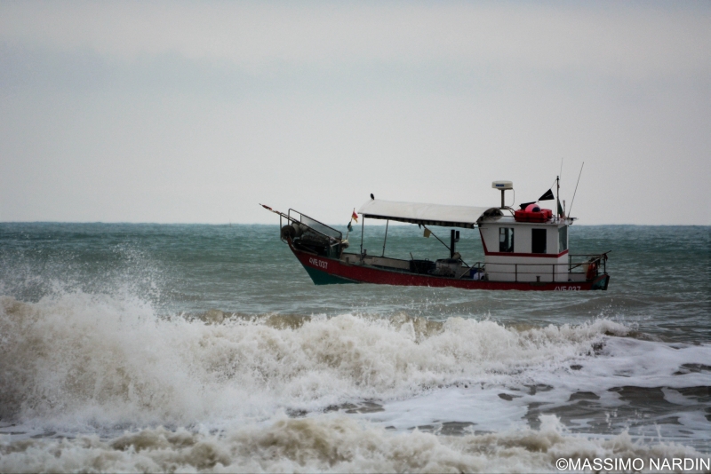 Massimo Nardin foto 1 Massimo Nardin foto 1