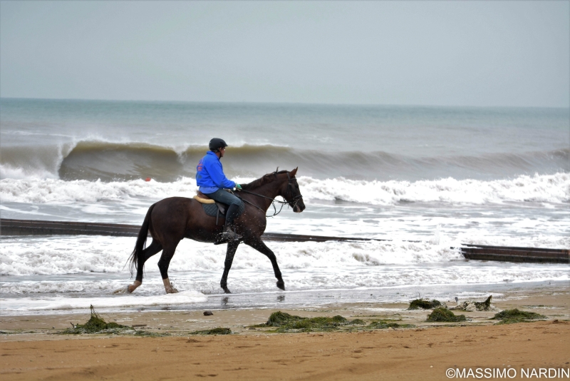 Massimo Nardin foto 3 Massimo Nardin foto 3