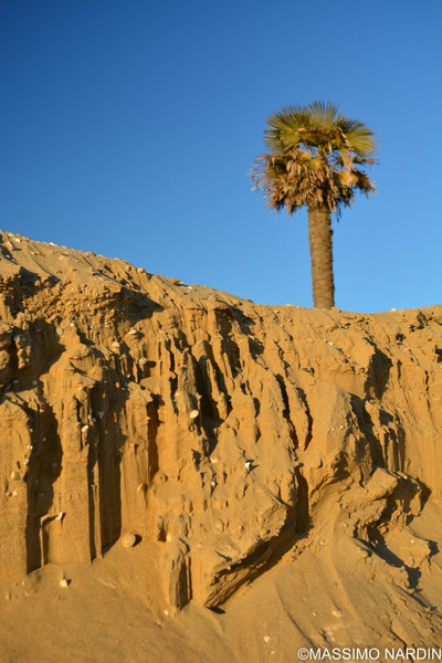 Massimo Nardin foto 6 Massimo Nardin foto 6