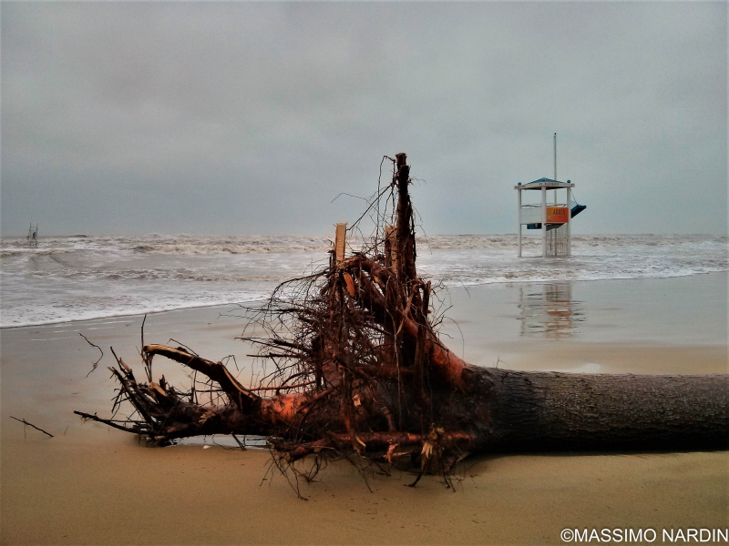 Massimo Nardin foto 8 Massimo Nardin foto 8