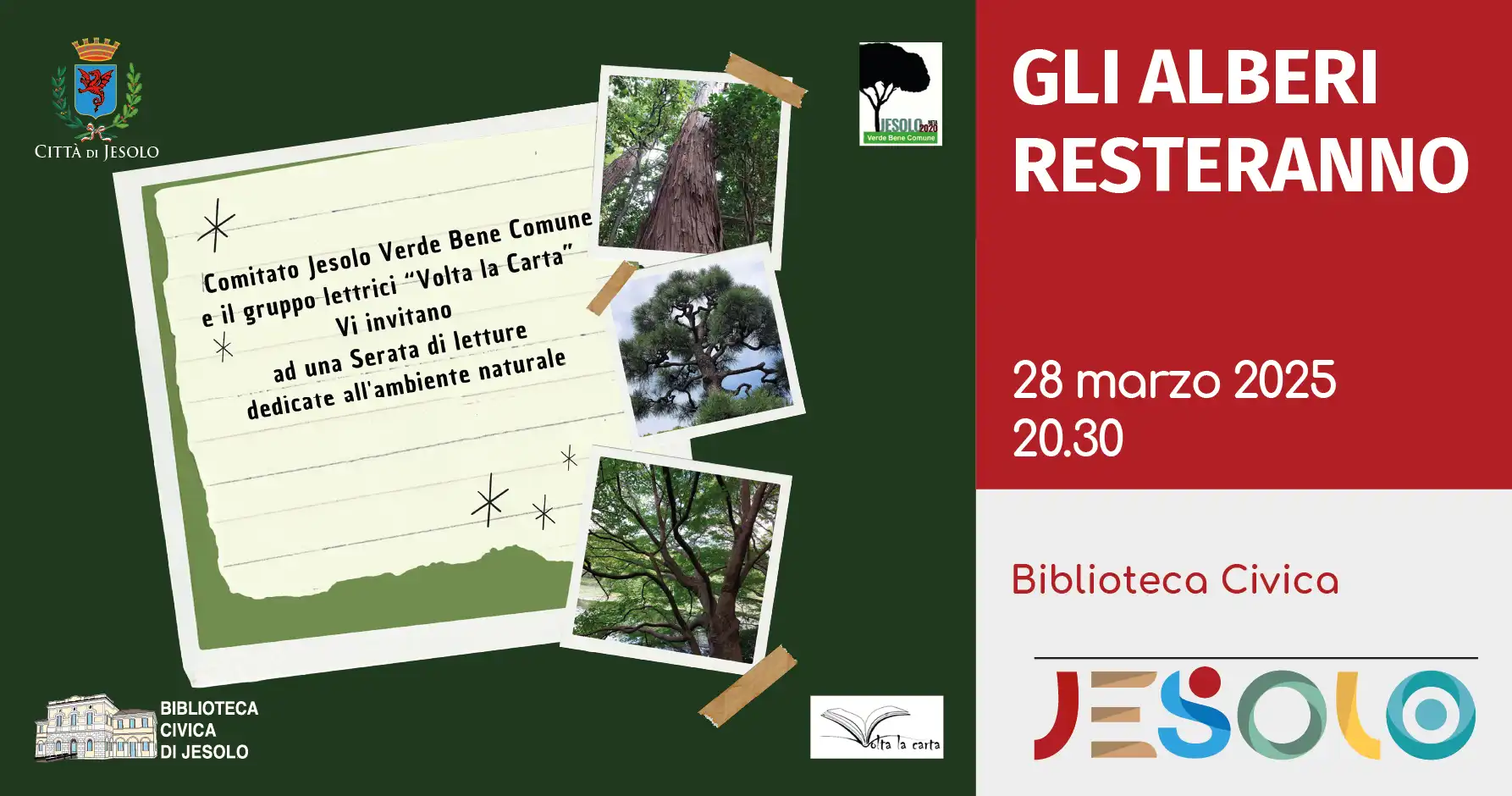 Immagine di strillo gli alberi resteranno-03