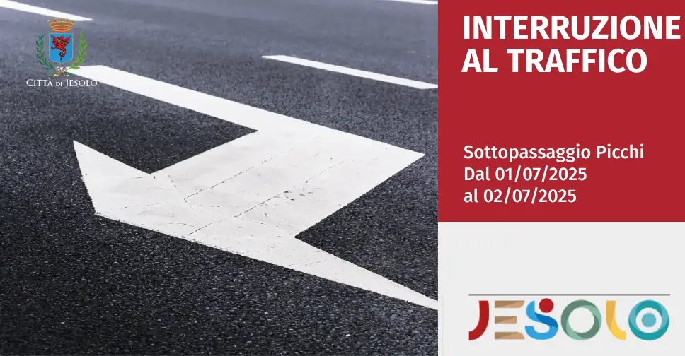 Immagine di INTERRUZIONE AL TRAFFICO picchi strillo